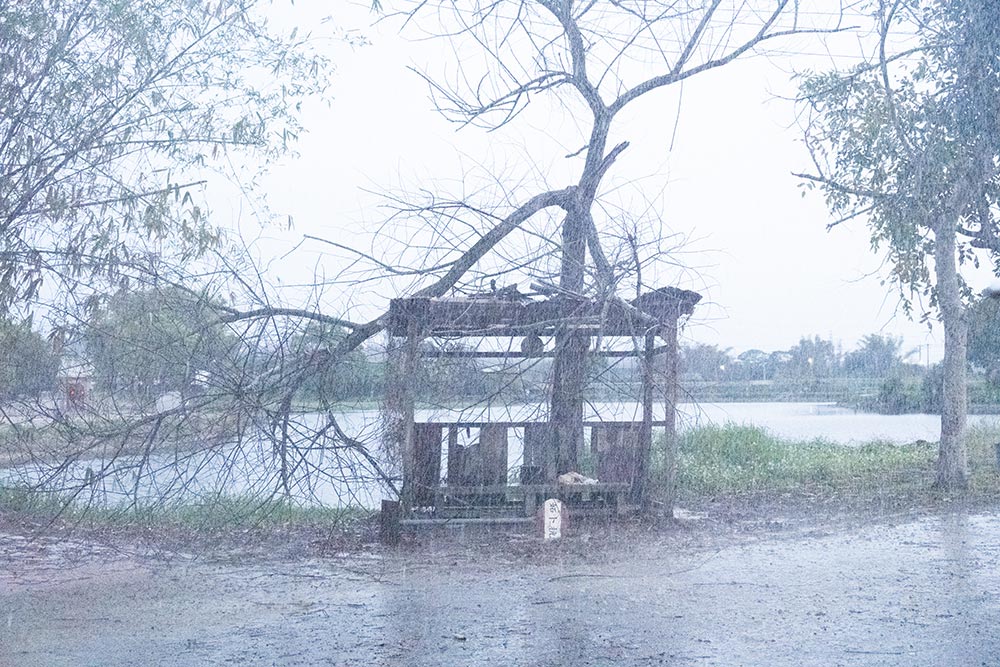 『雨の中の慾情』製作の裏側に迫る